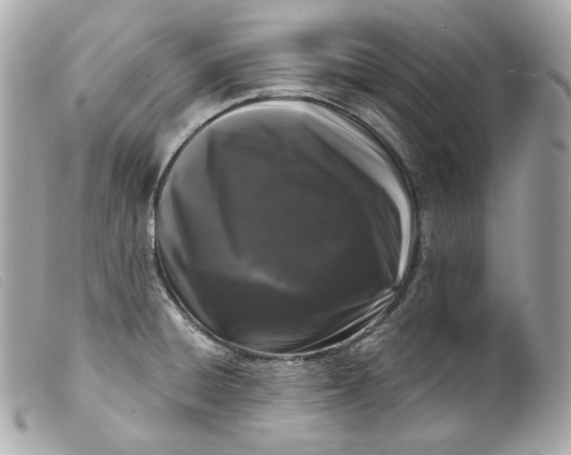 X0000099561428200805301532