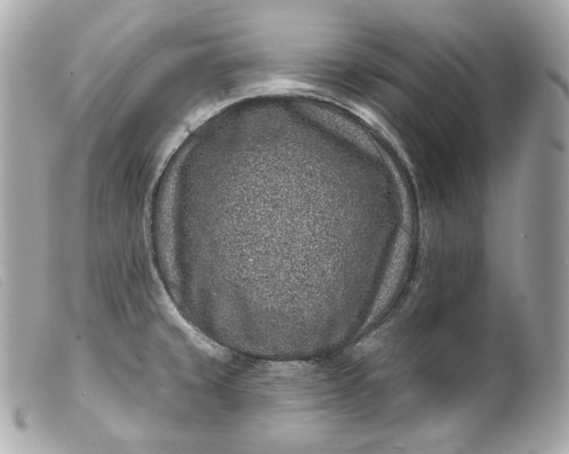 X0000099561429200805301532