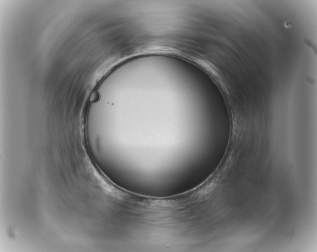 X0000099561430200805301532