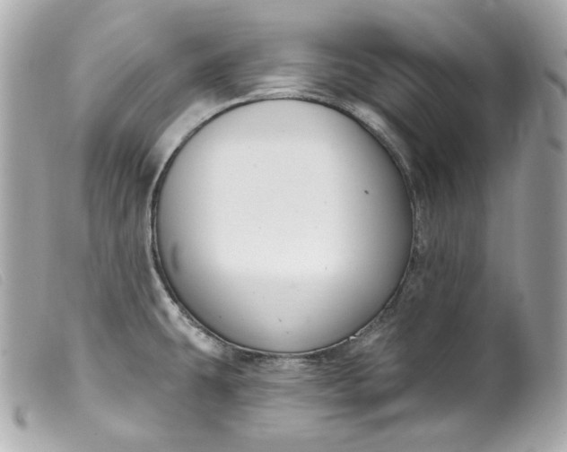 X0000099561431200805301532