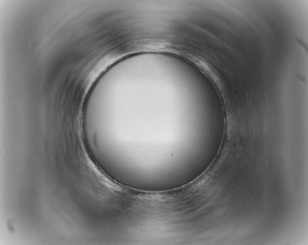 X0000099561432200805301532