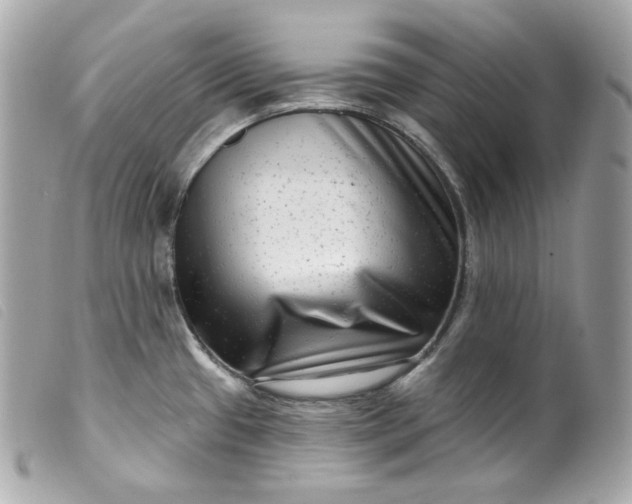 X0000099561433200805301532