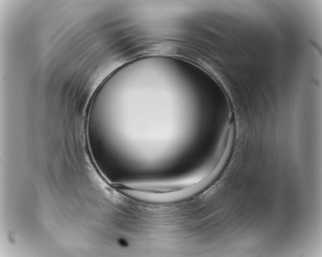 X0000099561434200805301532