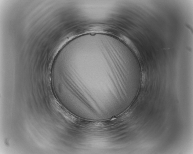 X0000099561435200805301532