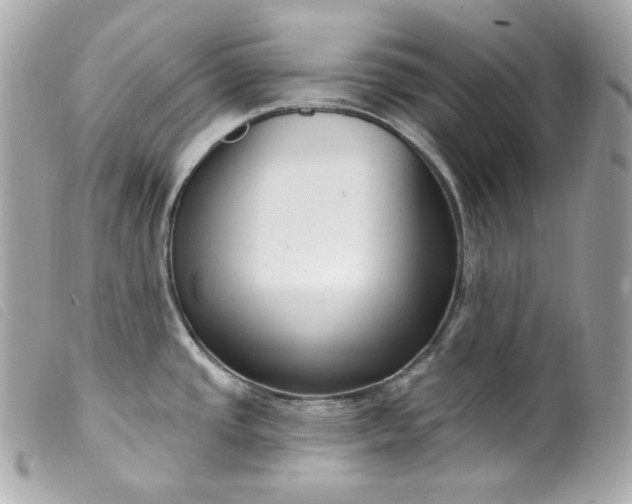 X0000099561437200805301532