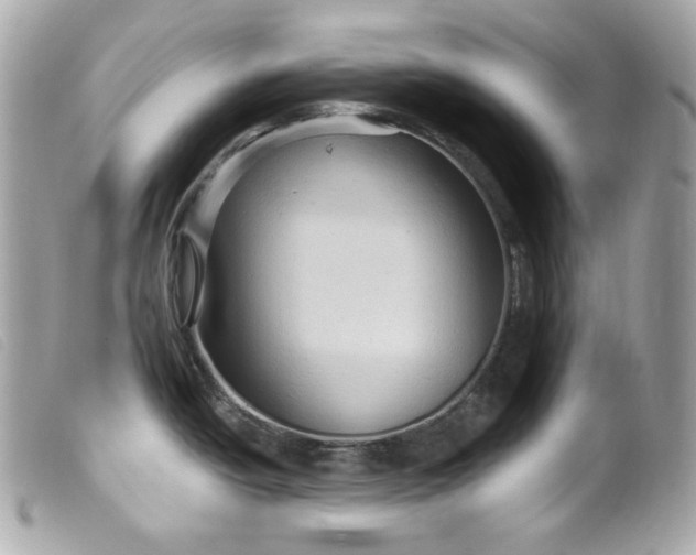 X0000099561438200805301532