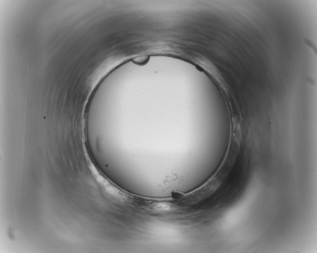 X0000099561439200805301532