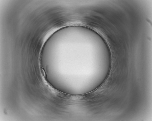 X0000099561440200805301532