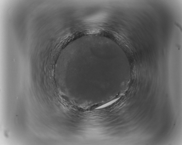 X0000099561441200805301532