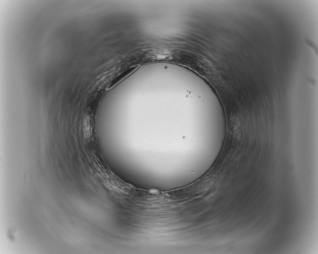 X0000099561442200805301532