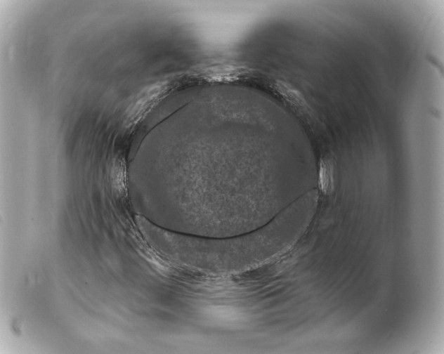 X0000099561444200805301531