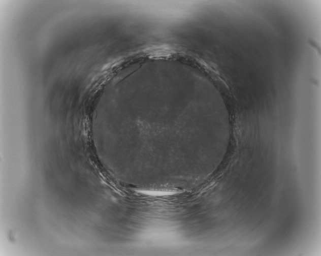 X0000099561445200805301531