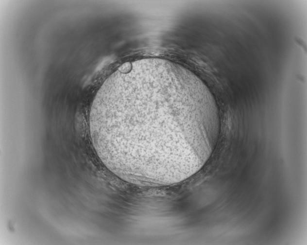 X0000099561446200805301531