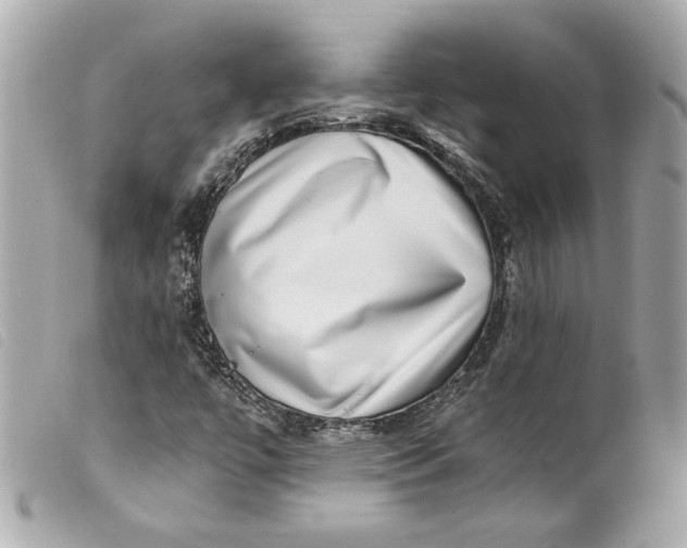 X0000099561447200805301531