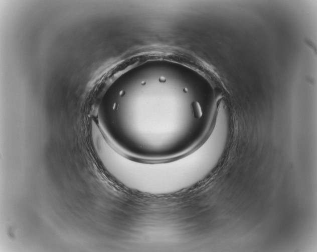 X0000099561448200805301531