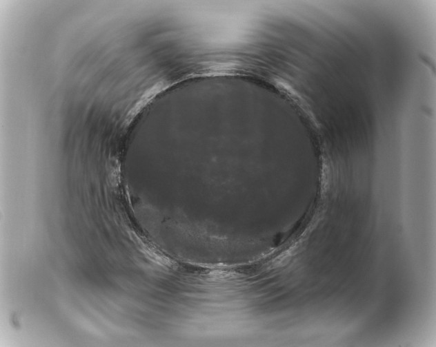 X0000099561449200805301531