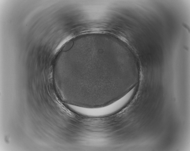 X0000099561450200805301531