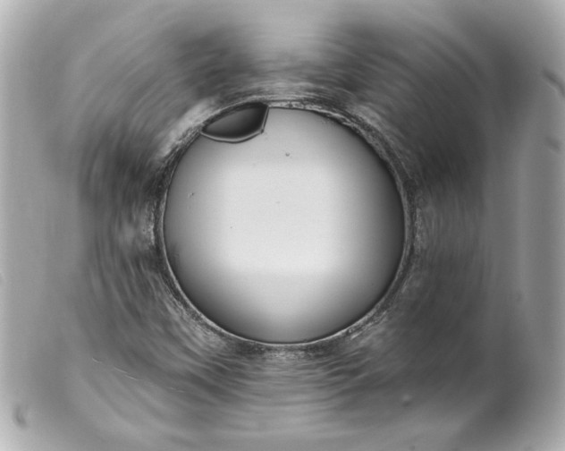 X0000099561451200805301531