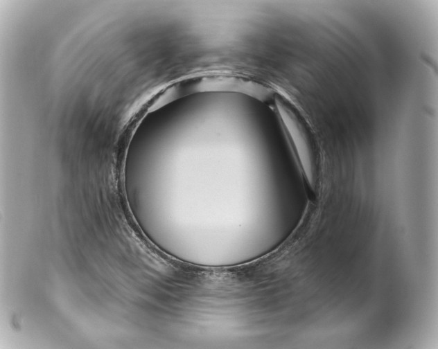 X0000099561452200805301531