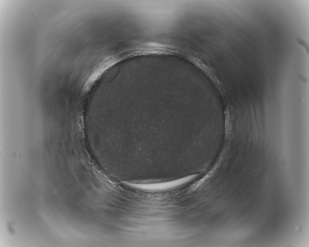 X0000099561453200805301531