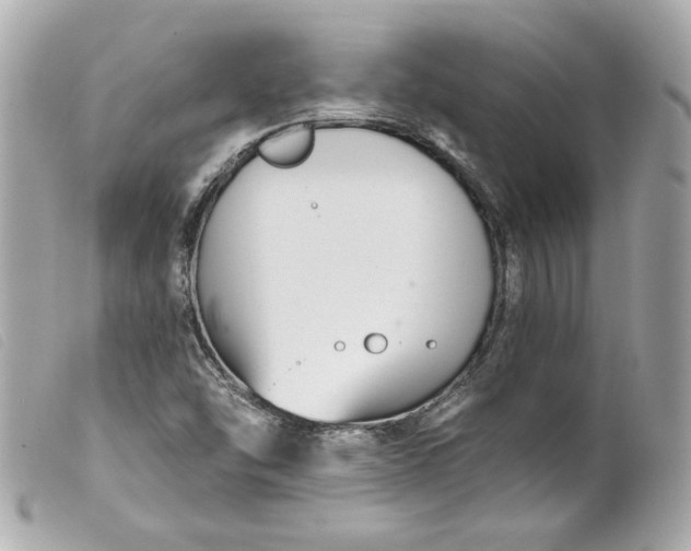 X0000099561454200805301531