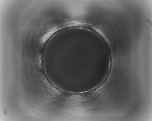 X0000099561455200805301531