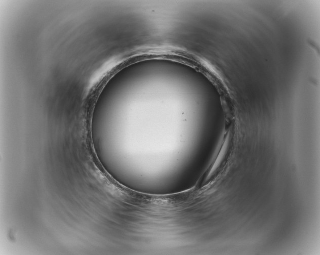 X0000099561456200805301531