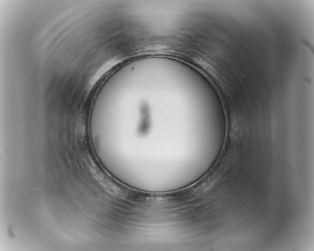 X0000099561458200805301531