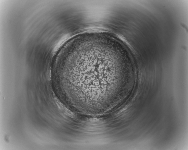 X0000099561459200805301531