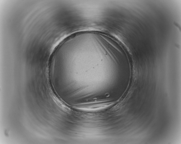 X0000099561460200805301531