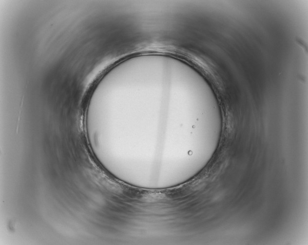 X0000099561462200805301531