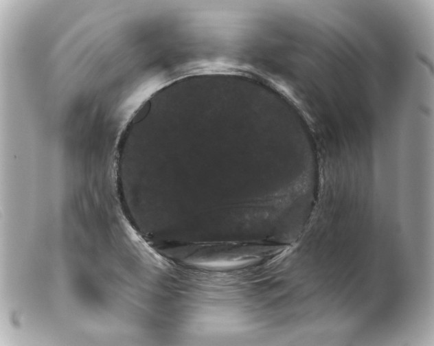 X0000099561463200805301531