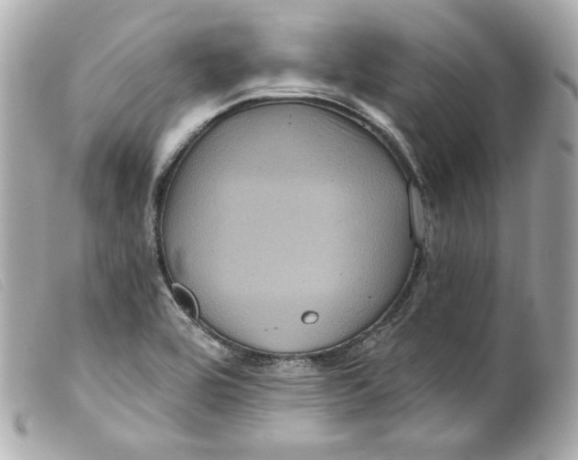 X0000099561464200805301531