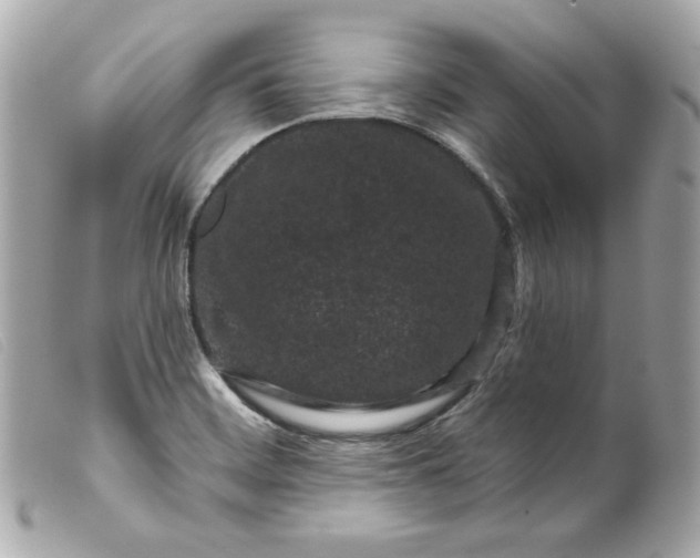 X0000099561468200805301531