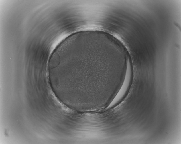 X0000099561469200805301531