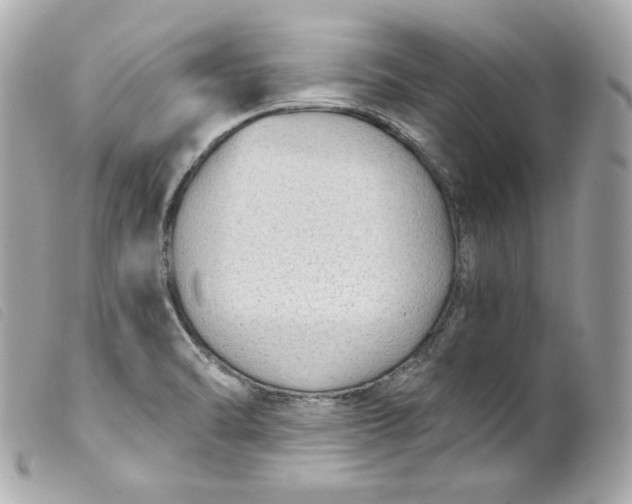 X0000099561470200805301531