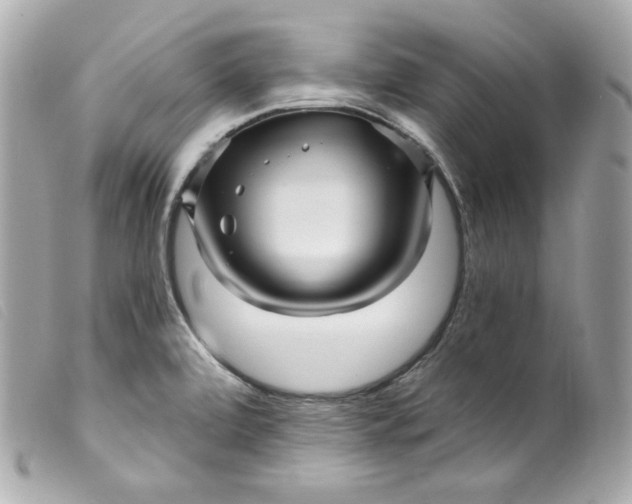 X0000099561472200805301531