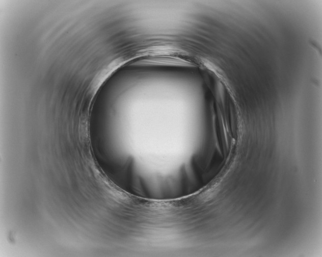 X0000099561473200805301531