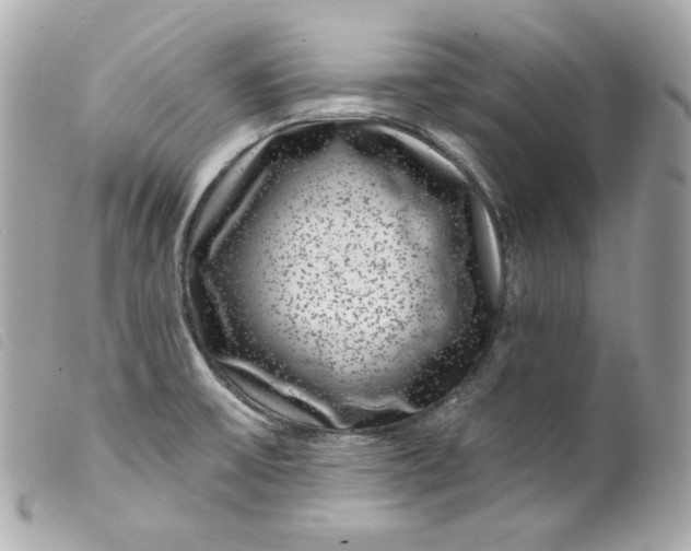 X0000099561475200805301531