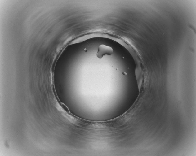 X0000099561476200805301531