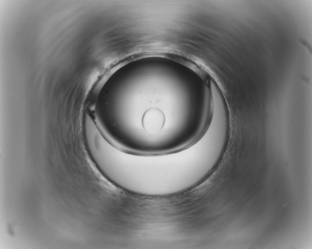 X0000099561477200805301531