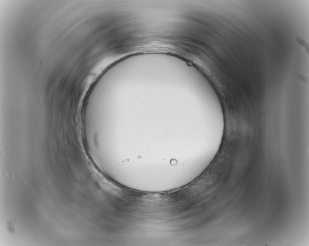 X0000099561478200805301531