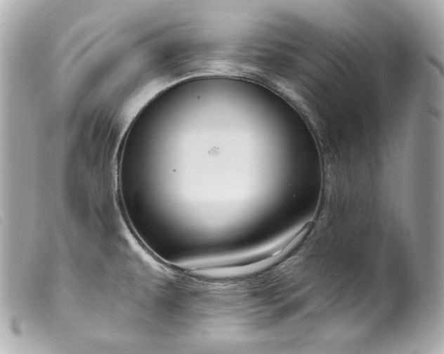 X0000099561479200805301531