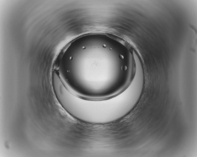 X0000099561480200805301531