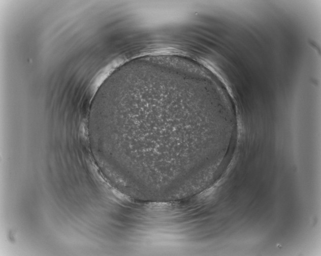 X0000099561481200805301531