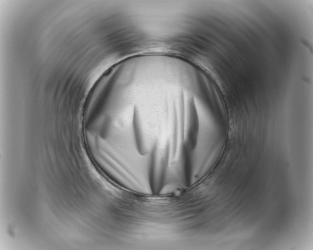 X0000099561483200805301531