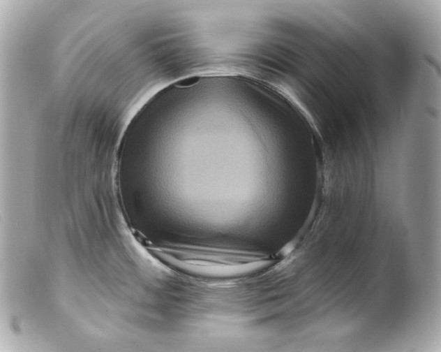 X0000099561484200805301531