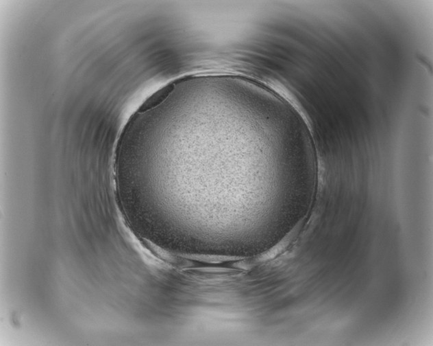 X0000099561485200805301531