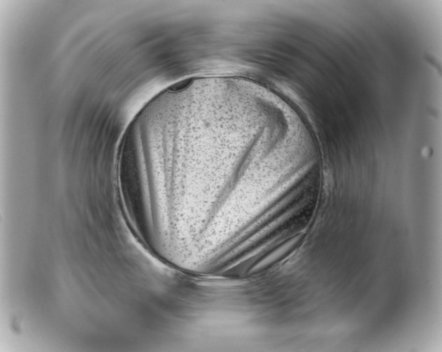 X0000099561487200805301531