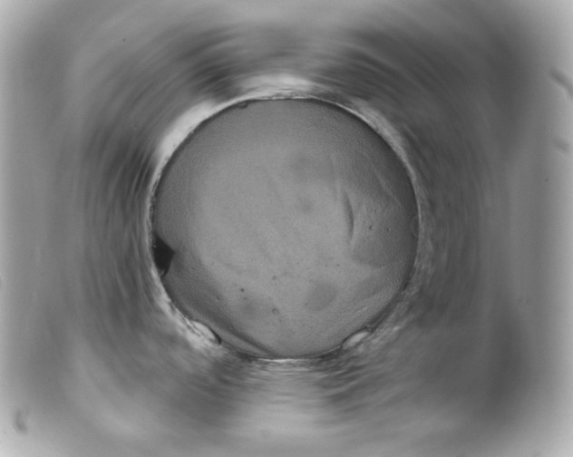 X0000099561488200805301531